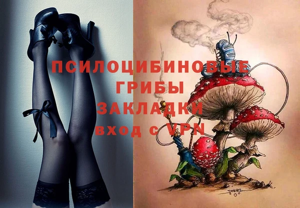 прущие грибы Мегион