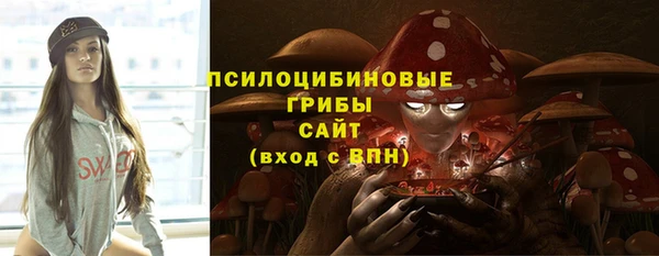 ешки Михайловск
