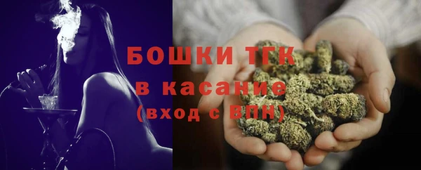 молекула духа Медвежьегорск