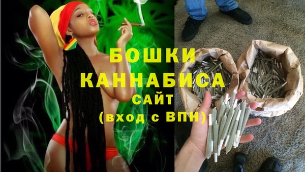 шишки Михайловка