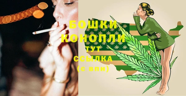 ГАЛЛЮЦИНОГЕННЫЕ ГРИБЫ Сатка
