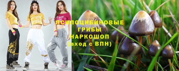 шишки Михайловка