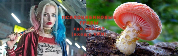 прущий лед Михайлов