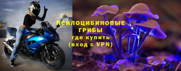 ешки Михайловск