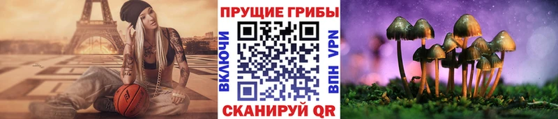 нарко площадка телеграм  магазин продажи наркотиков  Лебедянь  Галлюциногенные грибы прущие грибы 